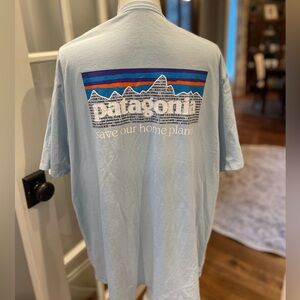 Patagonia Mens T-Shirt